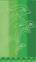 Telo Mare Flipper Lime